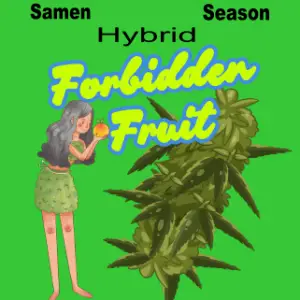 Forbidden Fruit Full Season Samen 3 Stk.