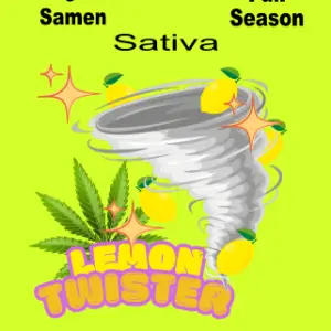 Lemon Twister Full Season Samen 3 Stk.